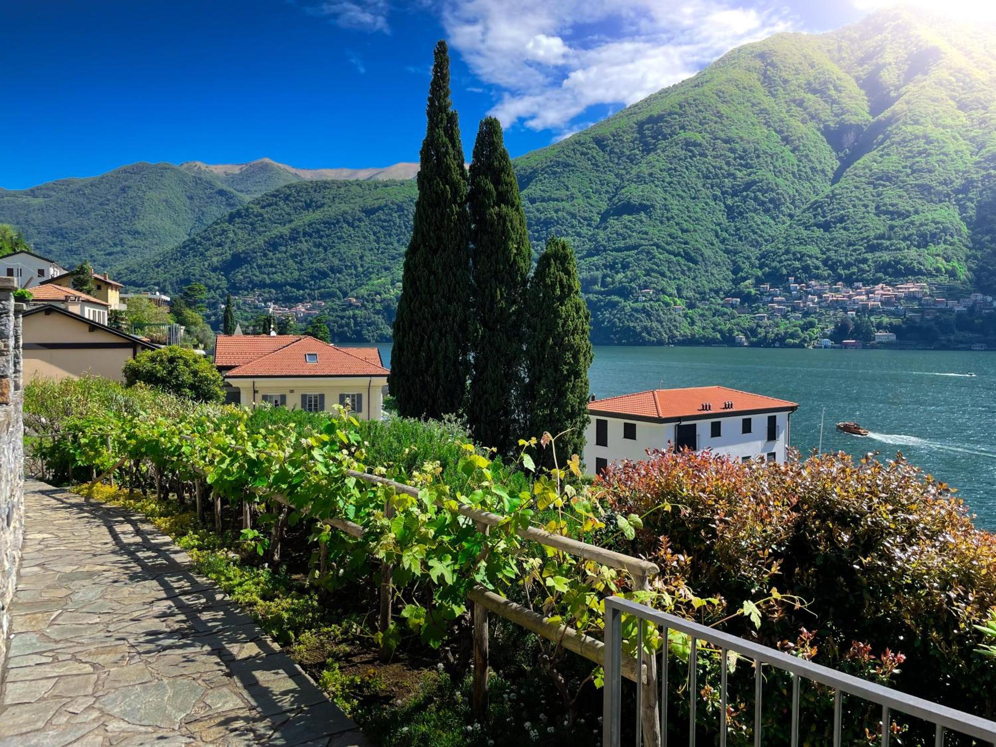 Villa Luminosa Laglio - Private Parking, Garden Esterno foto